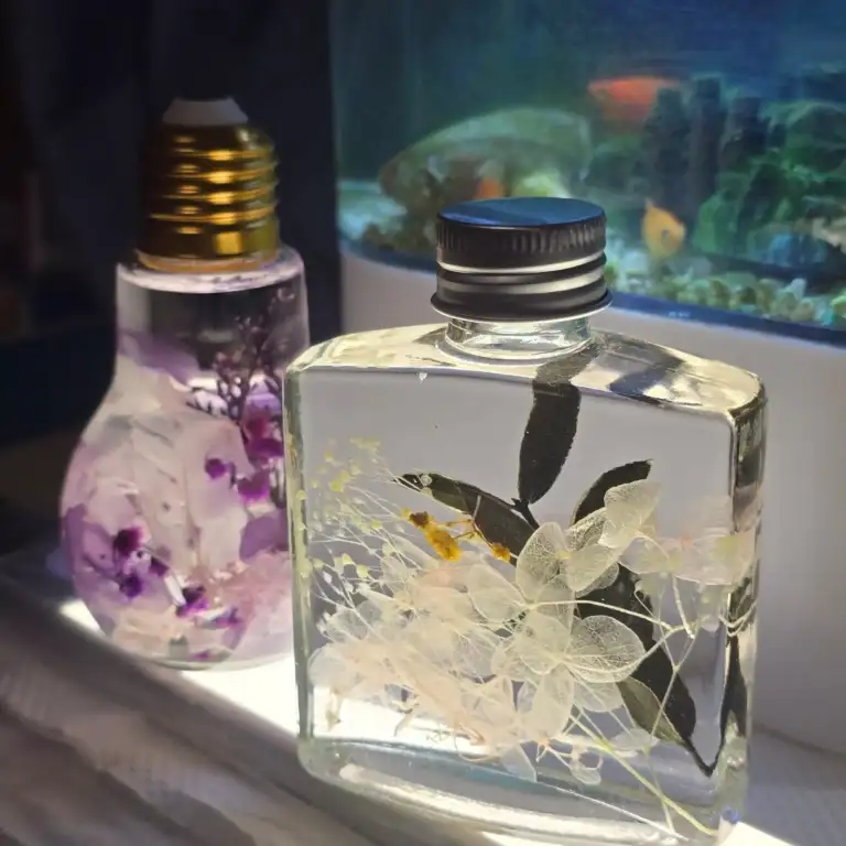 浮游花01